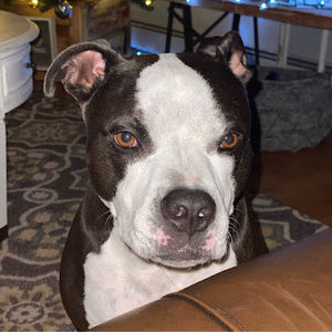 Meet your Posher, Marco